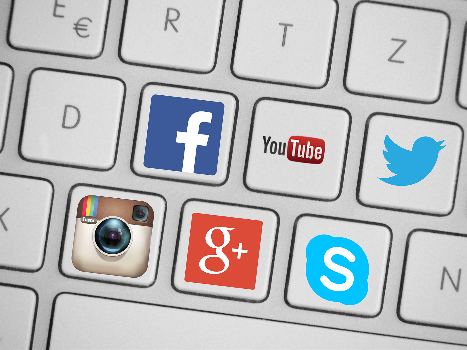 Sitio web